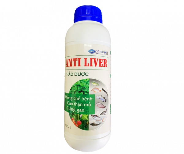 ANTI LIVER - thảo dược khống chế bệnh gan thận mủ, trắng gan