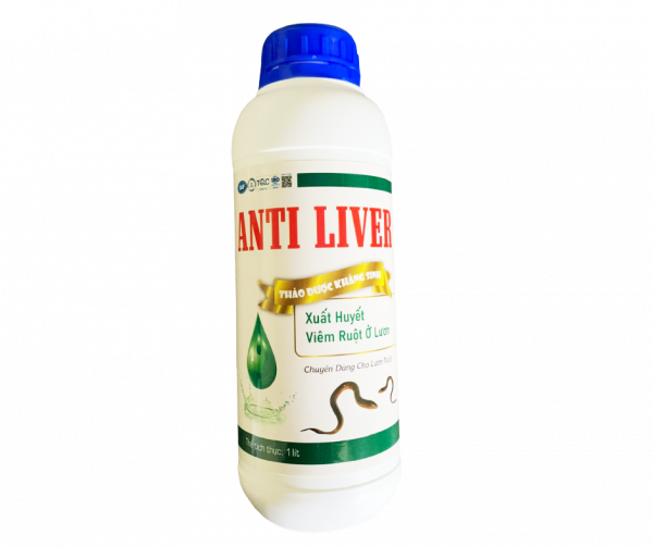 ANTI LIVER - thảo dược kháng sinh đặc trị xuất huyết, viêm ruột ở lươn