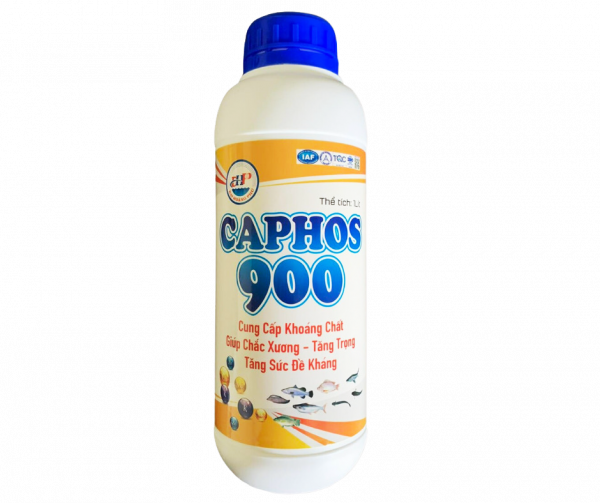 CAPHOS 900 – cung cấp khoáng chất giúp chắc xương, tăng trọng, tăng sức đề kháng